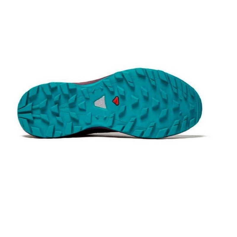Salomon dámské běžecké boty XA ELEVATE GTX W